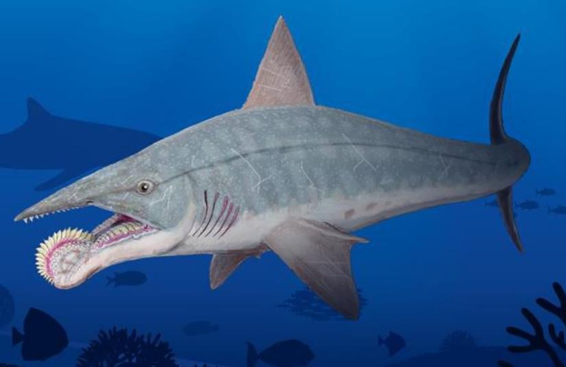 欧巴宾海蝎,欧巴宾海蝎比恐龙还要早出现2-3亿年,它起源于5.