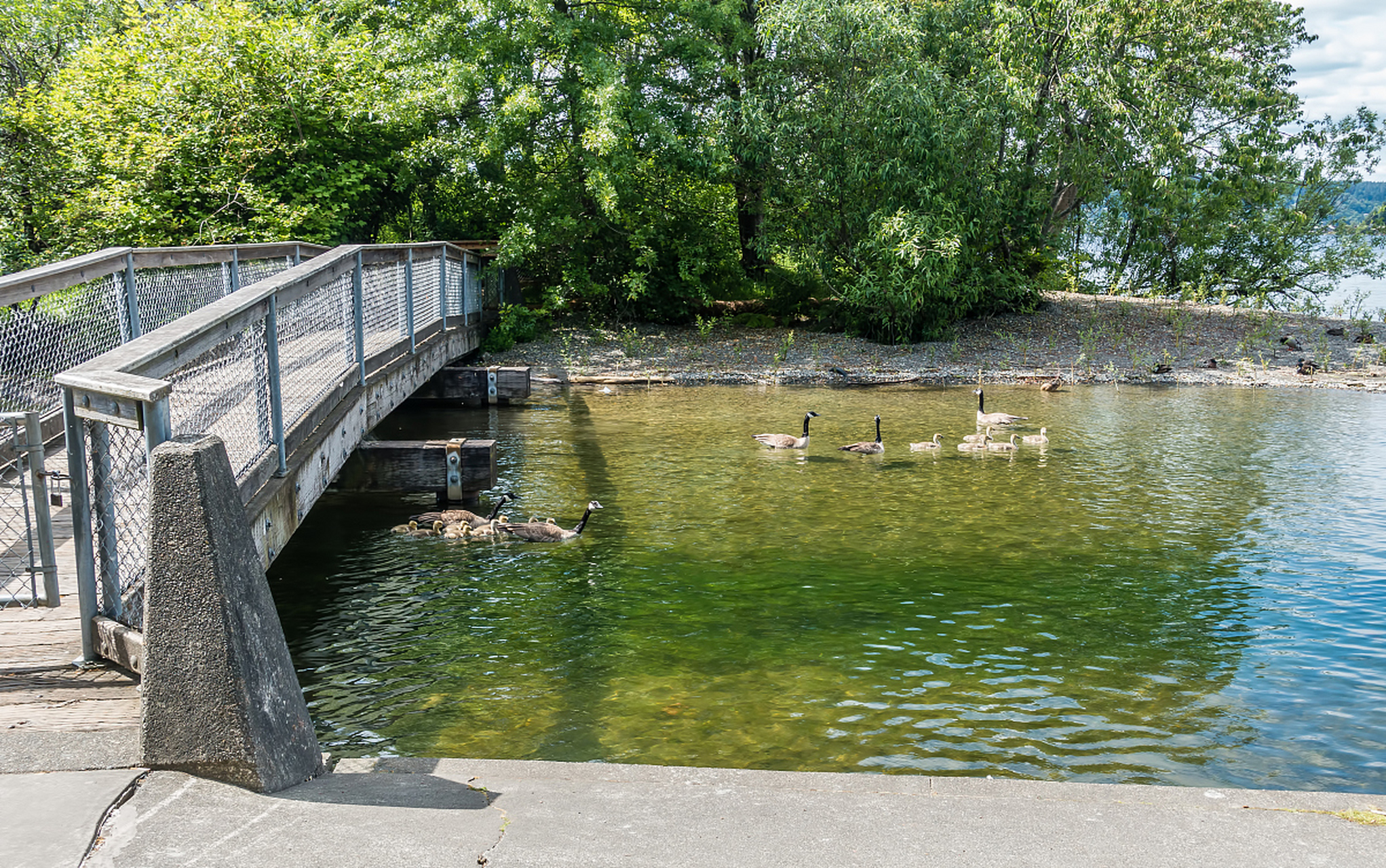 天津蓟县州河公园,这个坐落在风景如画的地方的景点,是我近期旅行中的