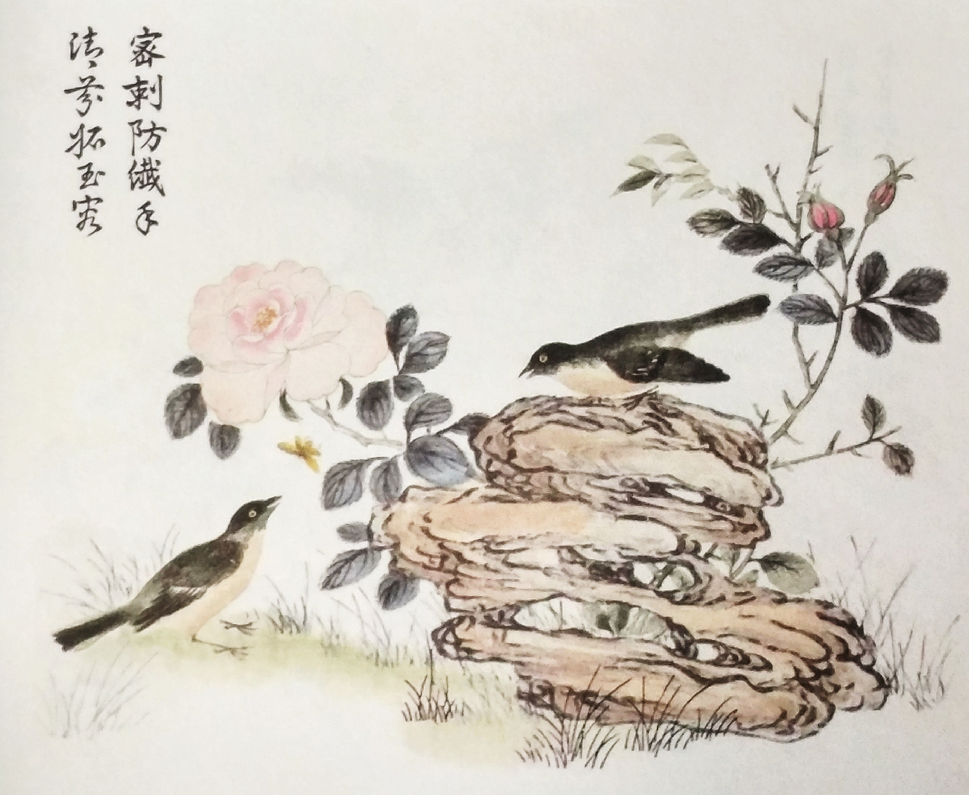 芥子园花鸟画100幅图片