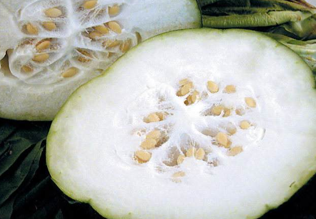 美食:冬瓜瓤,能宁心安神调节心情,减少不良情绪出现!