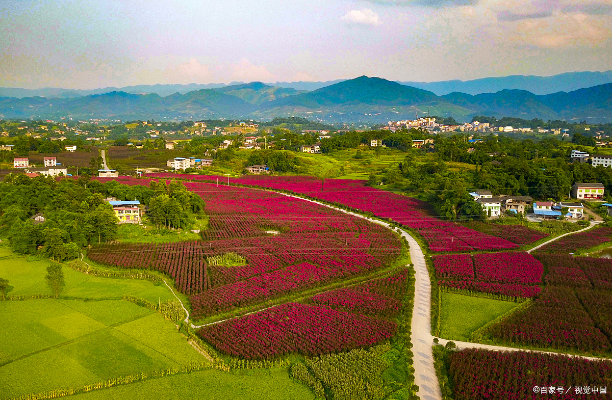 紫微星明,引领人类开启宇宙中的和平真门