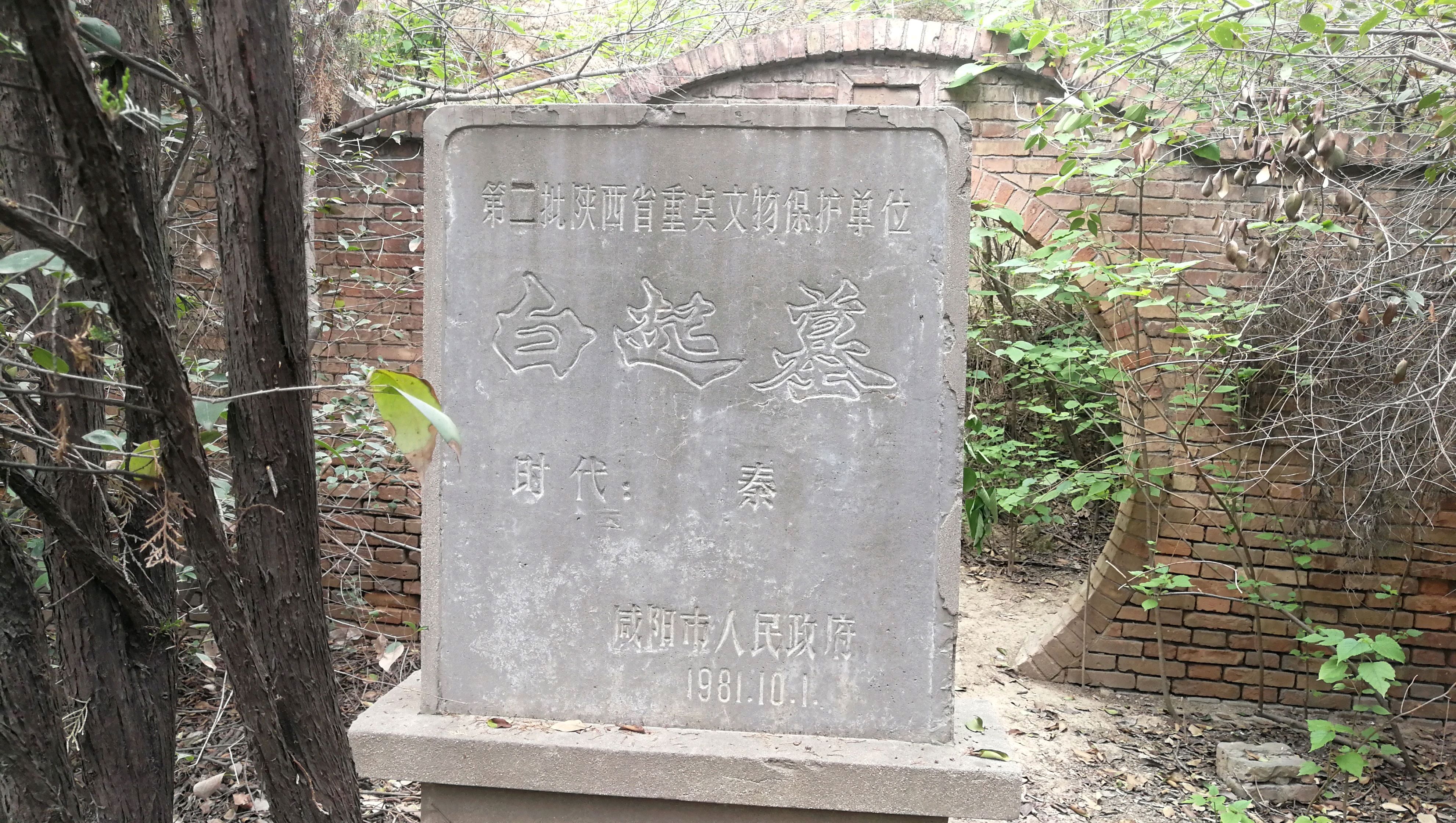 白起——长平之战最后的牺牲者