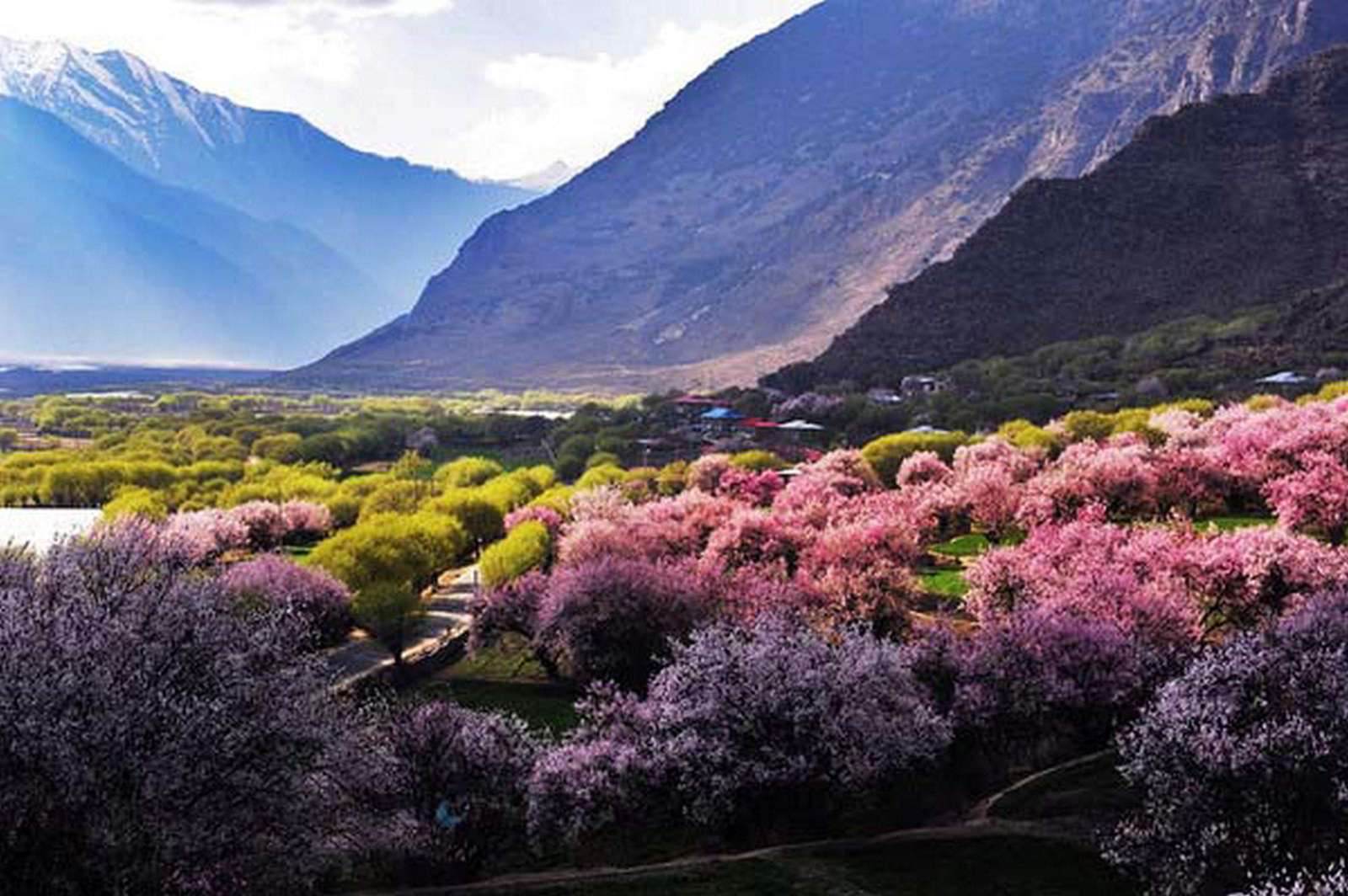 寻找中国最美的春天,林芝的独特风景,你值得去了解