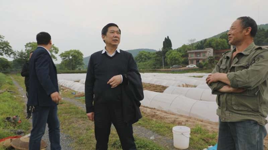 冯德校:抓实早稻生产 保障粮食安全