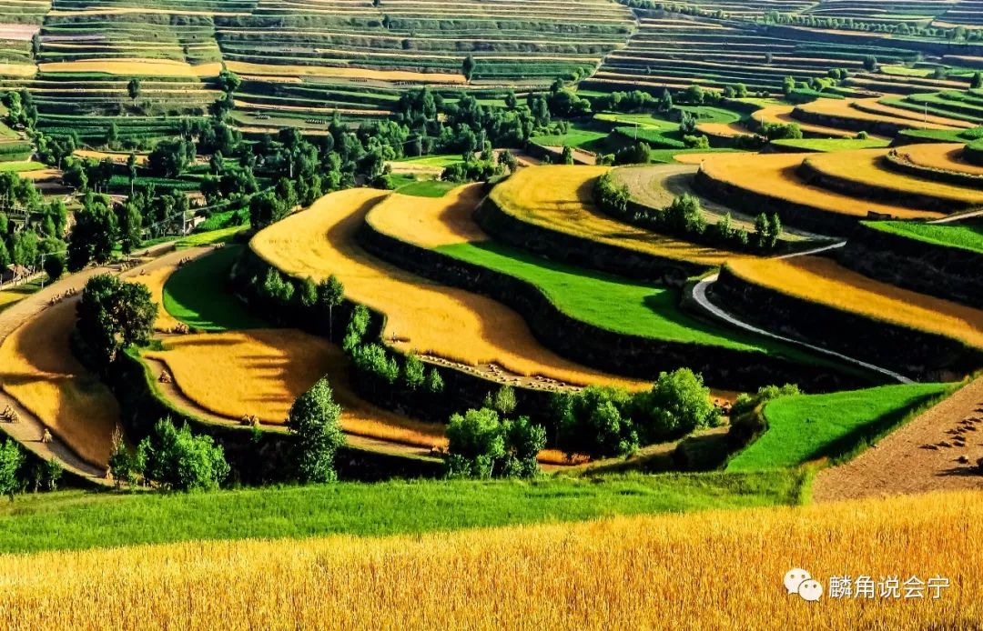 重大发现:会宁最美村庄在这里