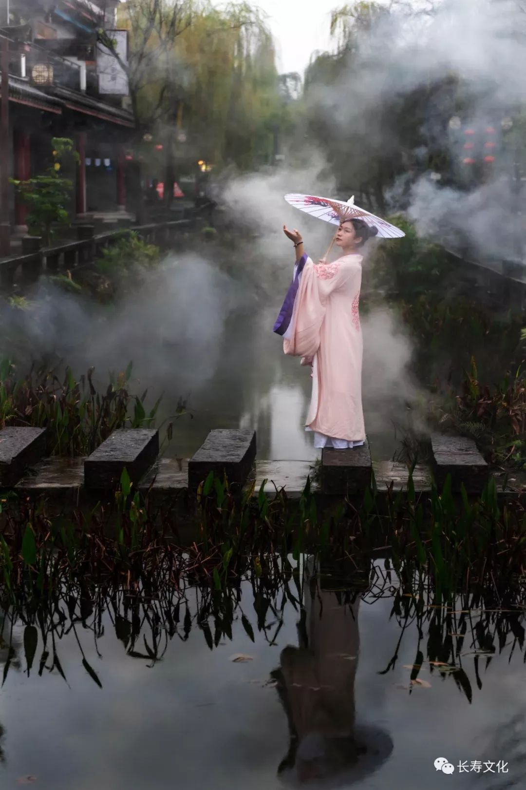 什么是华美巨蚊