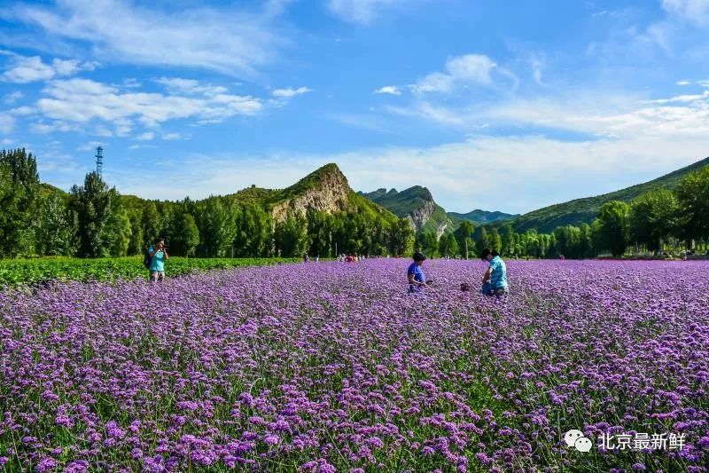 哪儿凉快哪儿呆着去!奔北京延庆百里画廊戏山水,看大戏