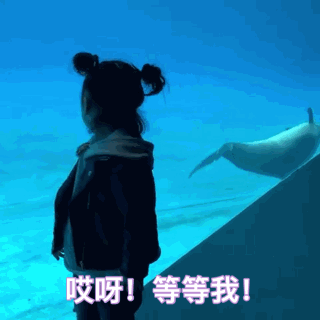 权律二动态表情包来袭 小时候的兔子妹也很