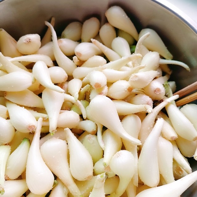 腌糖醋荞头,风味独特,口感丰富,佐粥下饭都超棒