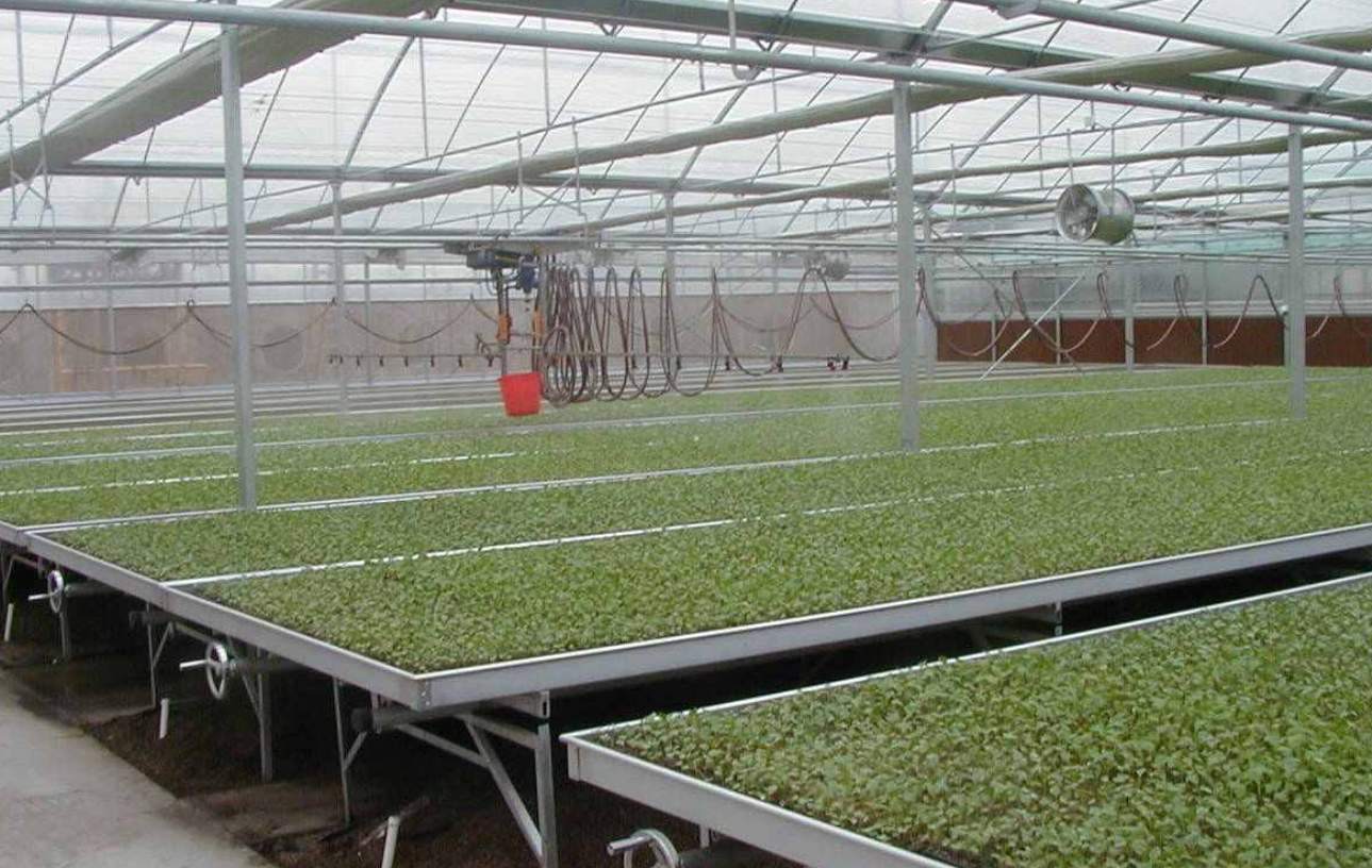 育苗- 热门厂家专区