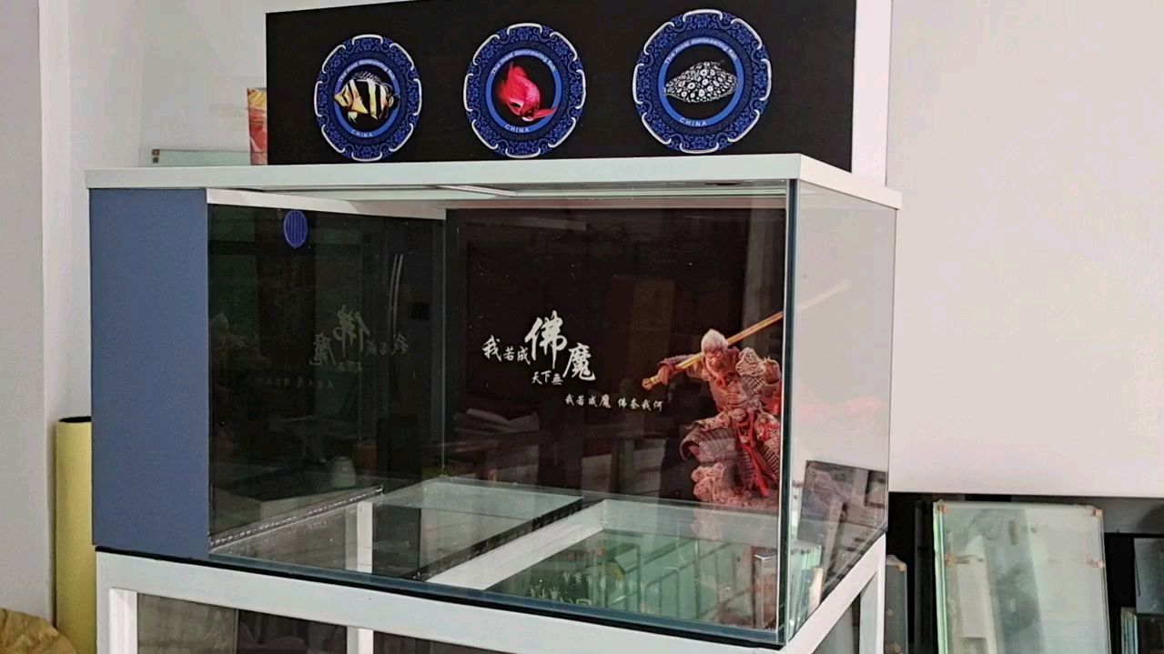 侧滤加上滤鱼缸制作完成,鱼友们说说过滤效果能怎么样