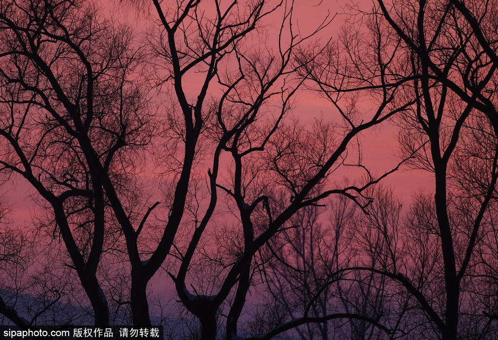 行走在冬季中亚细亚草原上 漫步阿尔泰共和国