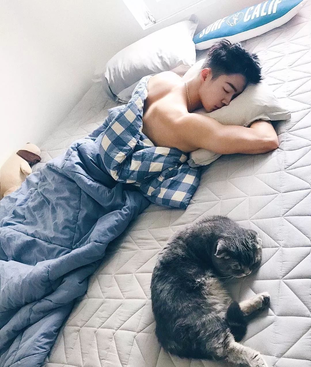 草食系小奶狗男模,自拍照八块腹肌太诱人!