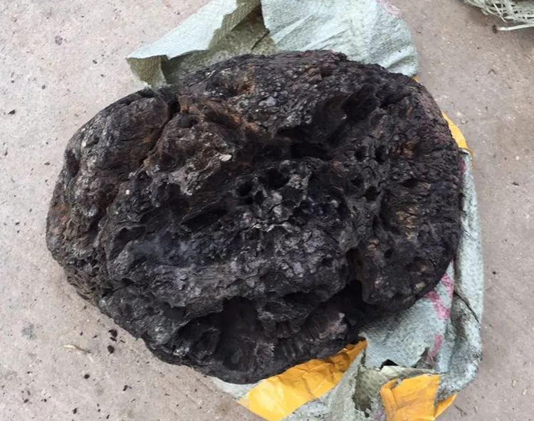 阴沉金丝楠木瘤疤赌一把!有点遗憾