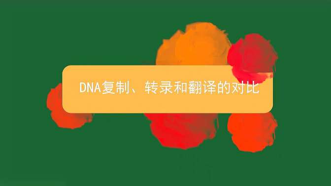 [图]DNA复制、转录和翻译的对比