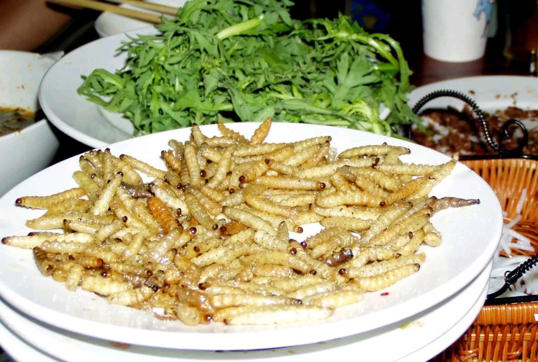 丽江千古情景区百虫宴