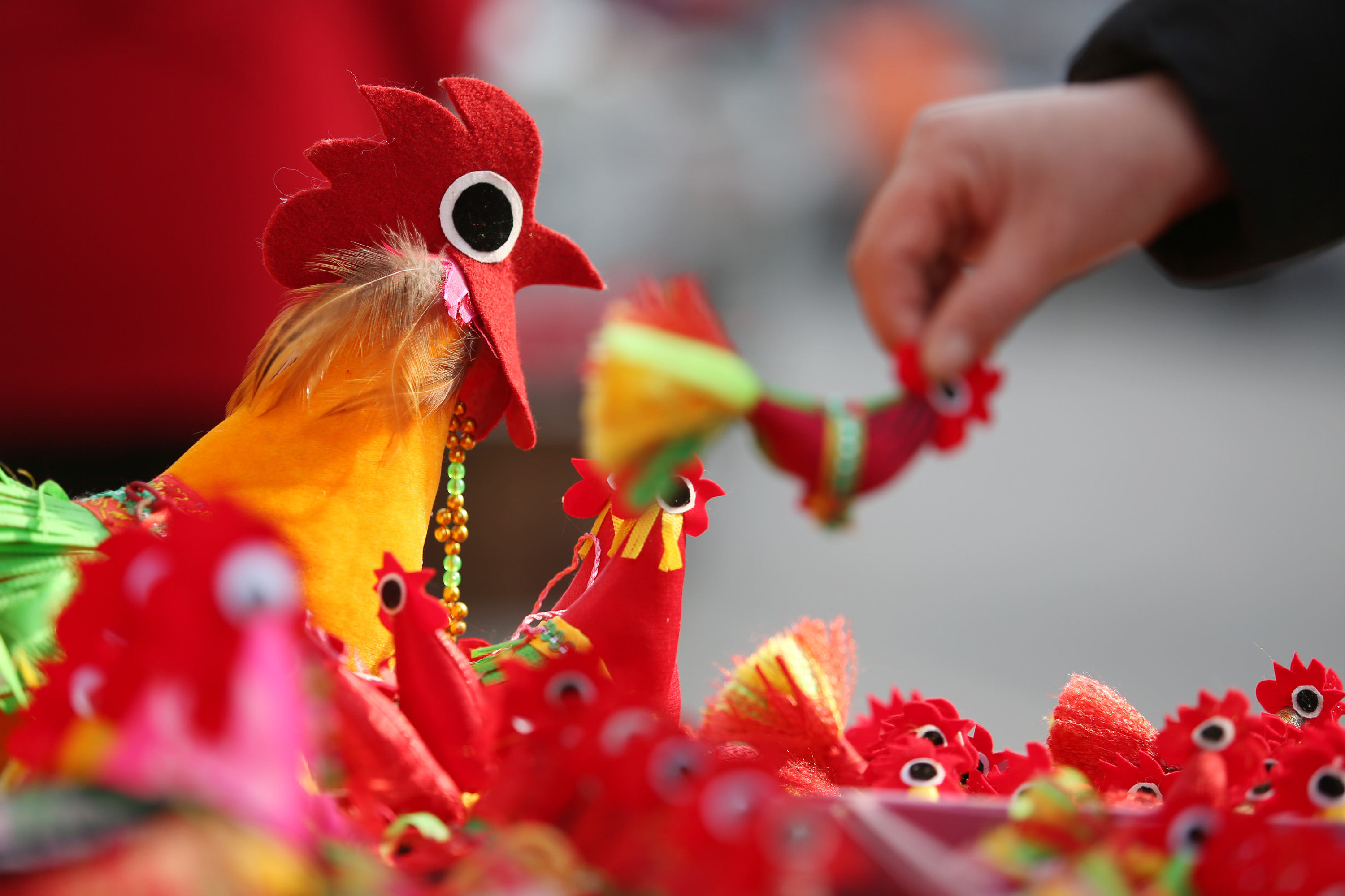 (社会)(1)山东临沂:"春鸡"迎新春