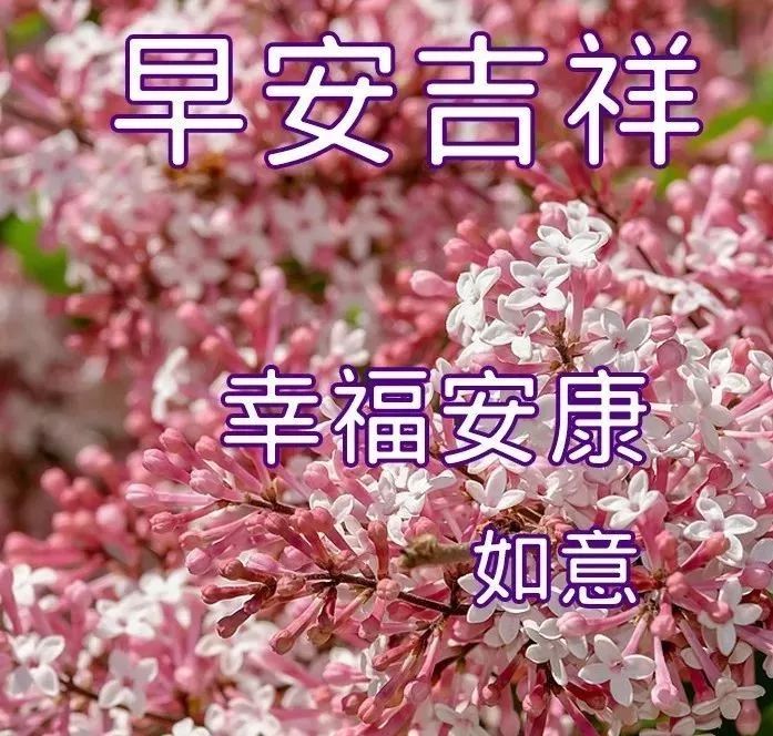 今日温馨早安图片,带字带祝福,传递最美祝愿