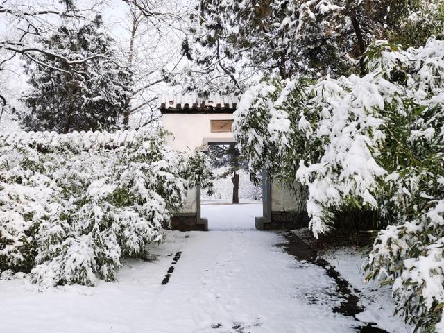 雪漠香山 净如琉璃 晏游雪景美爆朋友圈