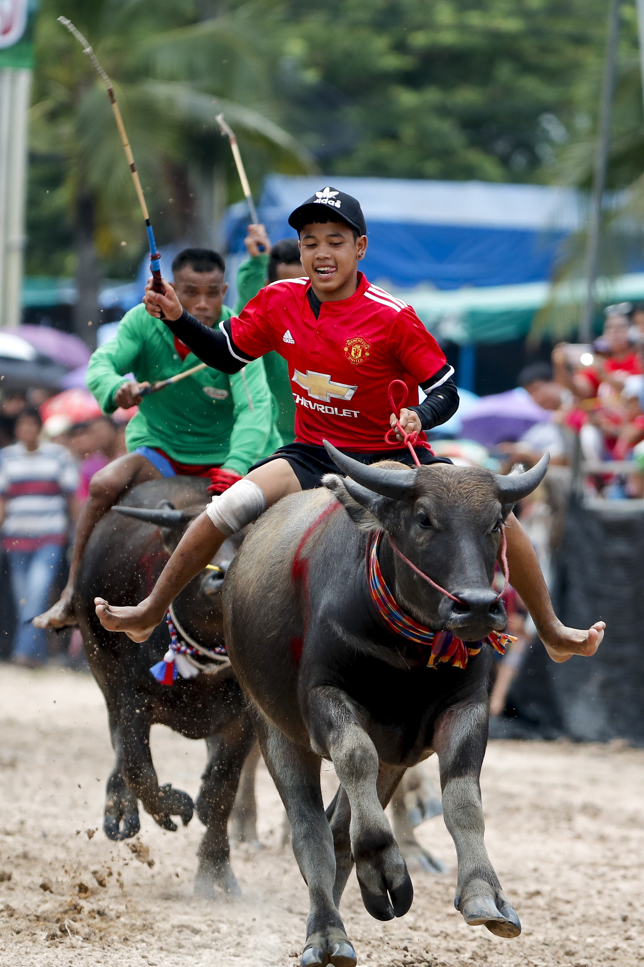 泰国举行水牛竞速大赛