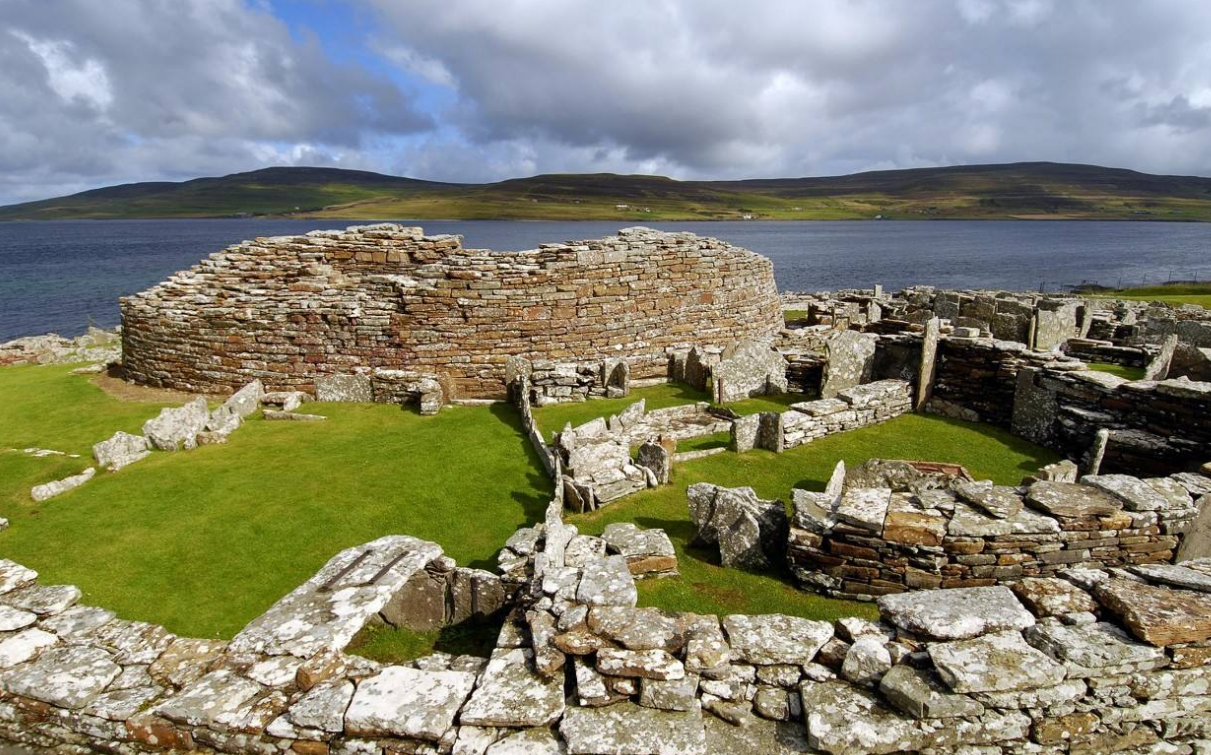 【westray岛上的海雀,奥克尼】