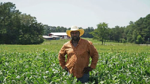 英媒:一位美国非裔豆农的"悲歌"