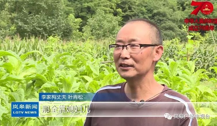 岚皋孟石岭镇:奋斗之光闪耀脱贫路