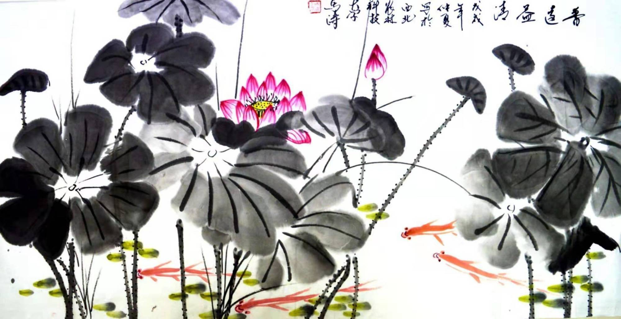 应无所住而生其心——马涛先生水墨荷花作品欣赏