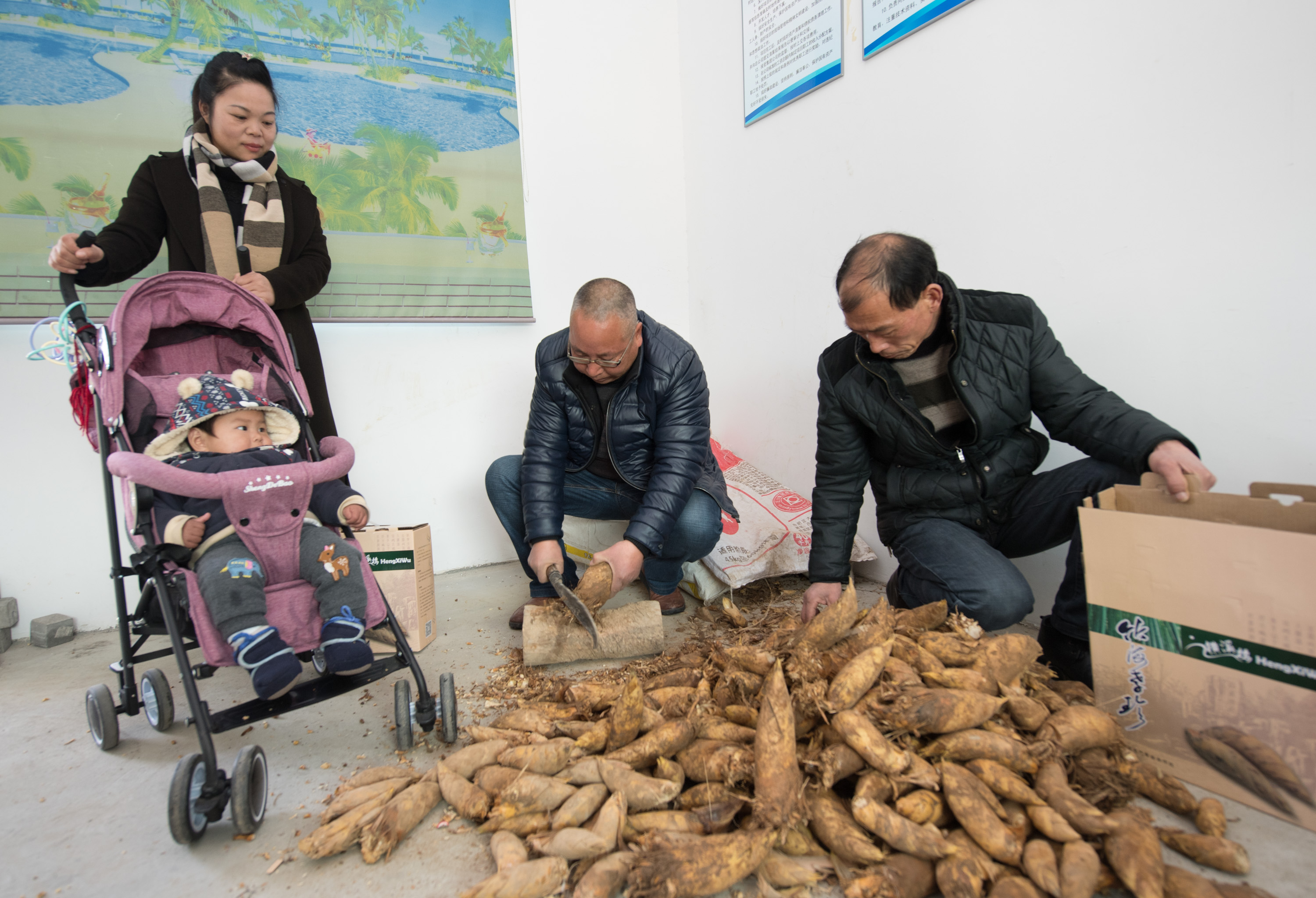 (新春走基层)(4)安吉:冬笋游点亮冬季山村