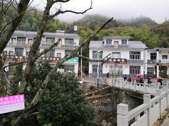 葛源秀美乡村:"七改三网","三化"建设打通了偏远山村的致富路