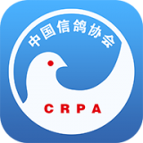 中国信鸽协会