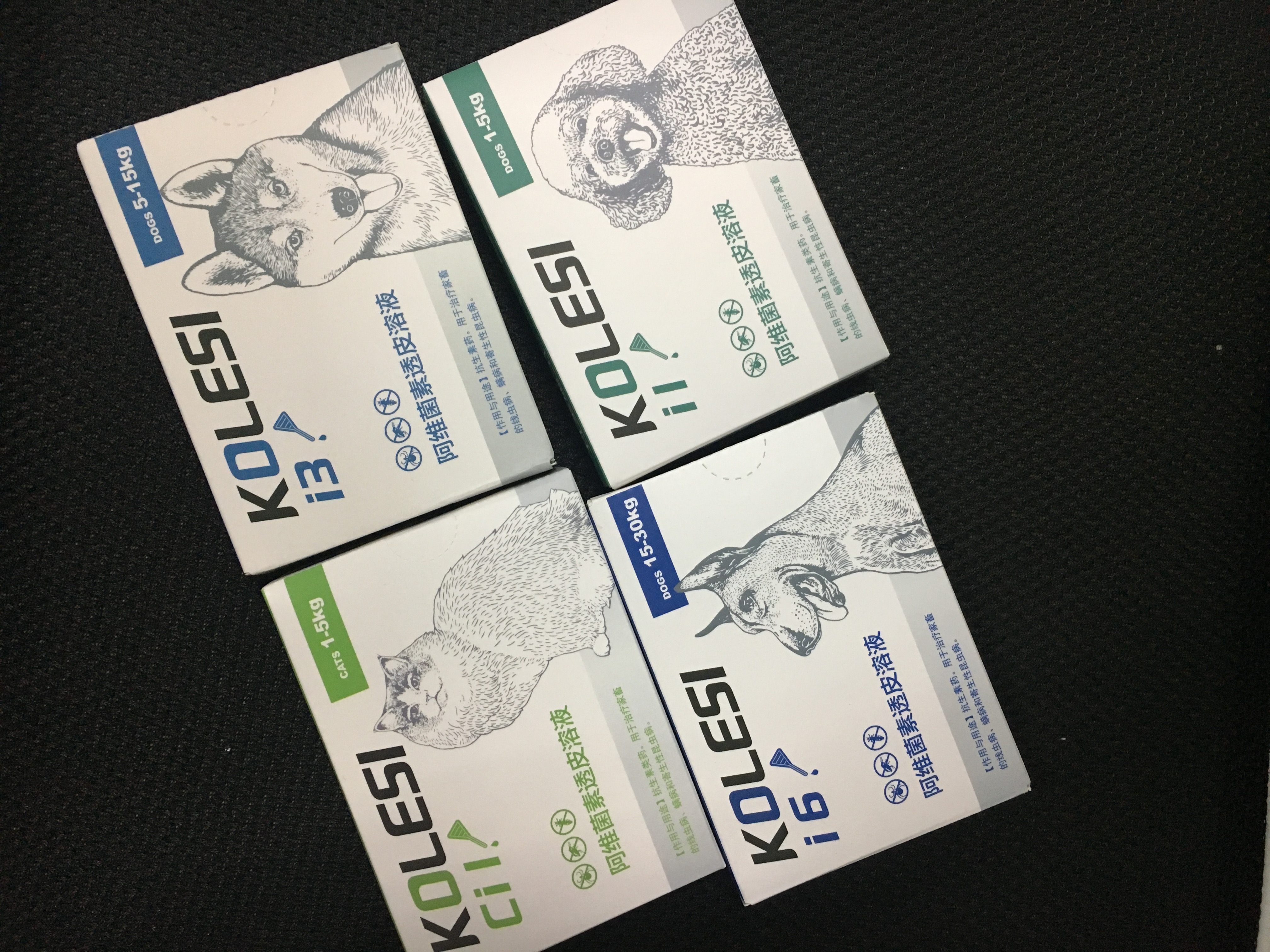 立春后如何给狗狗做驱虫,哪种方法最好的呢?