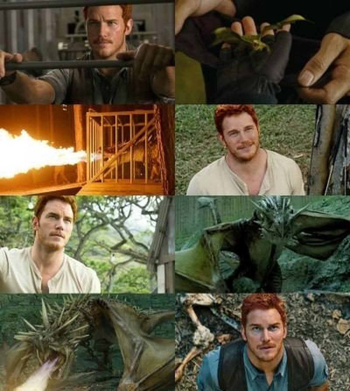 哈利波特# 原来,若干年后,韦斯莱家的二儿子查理去了侏罗纪公园… 