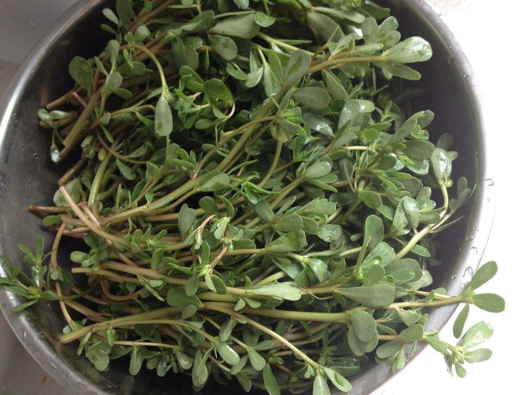 农村有一物不是你想吃就能吃到的