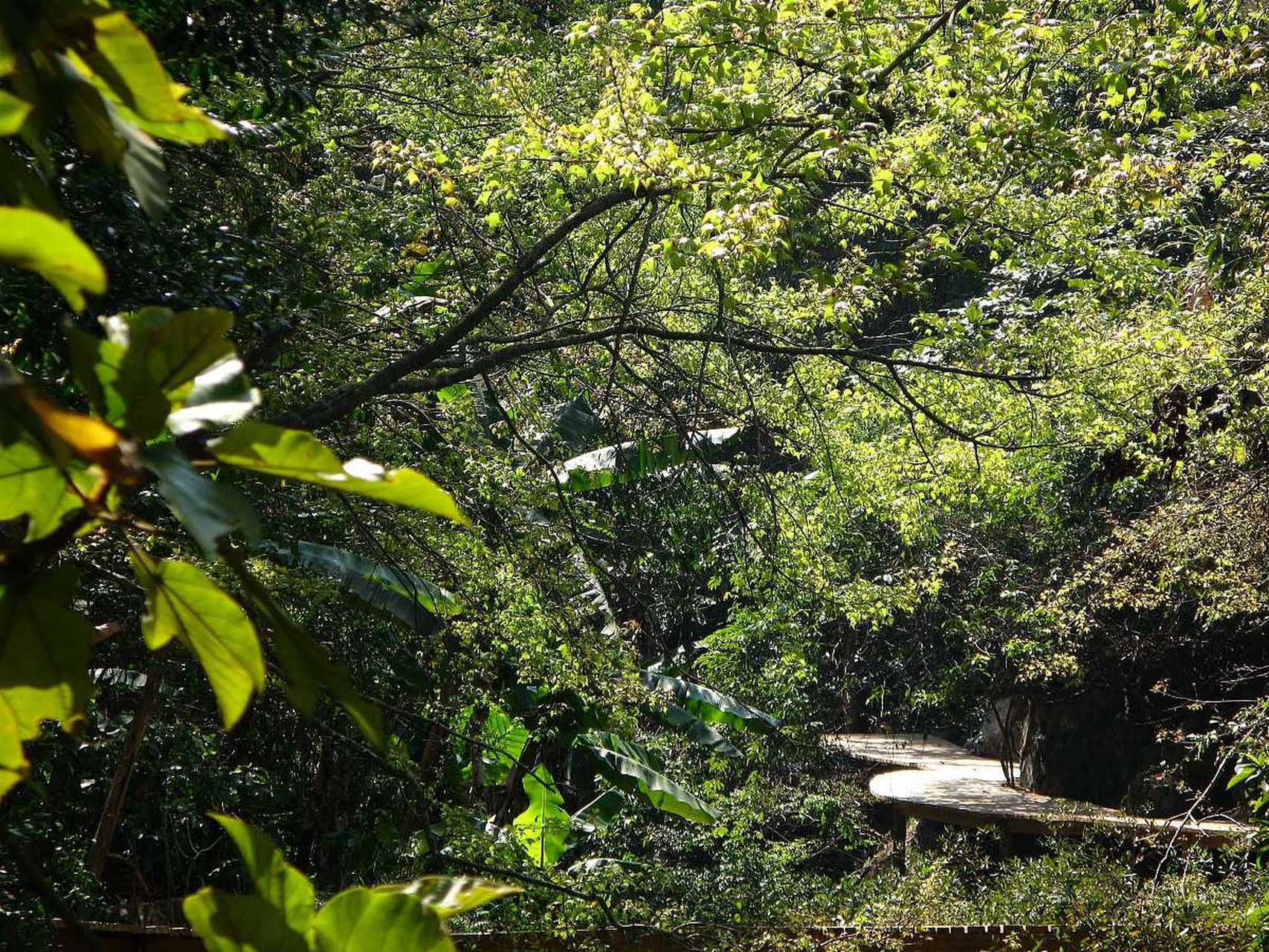 鲤龙潭森林公园是一个集山,湖,林于一体的绝佳旅游胜地,位于象山县
