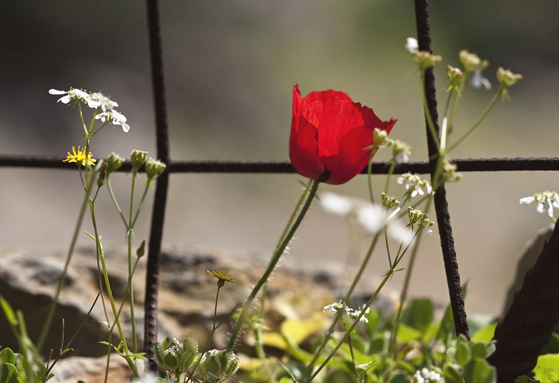 允许世事无常,遗憾,愚蠢和短浅存在,接受多样性,从容应对生活挑战.