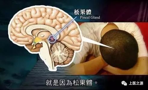 "松果体"是"第三只眼"吗?