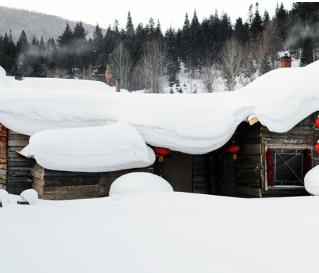 冷冷的冬天里,我们一起来东北滑雪吧!
