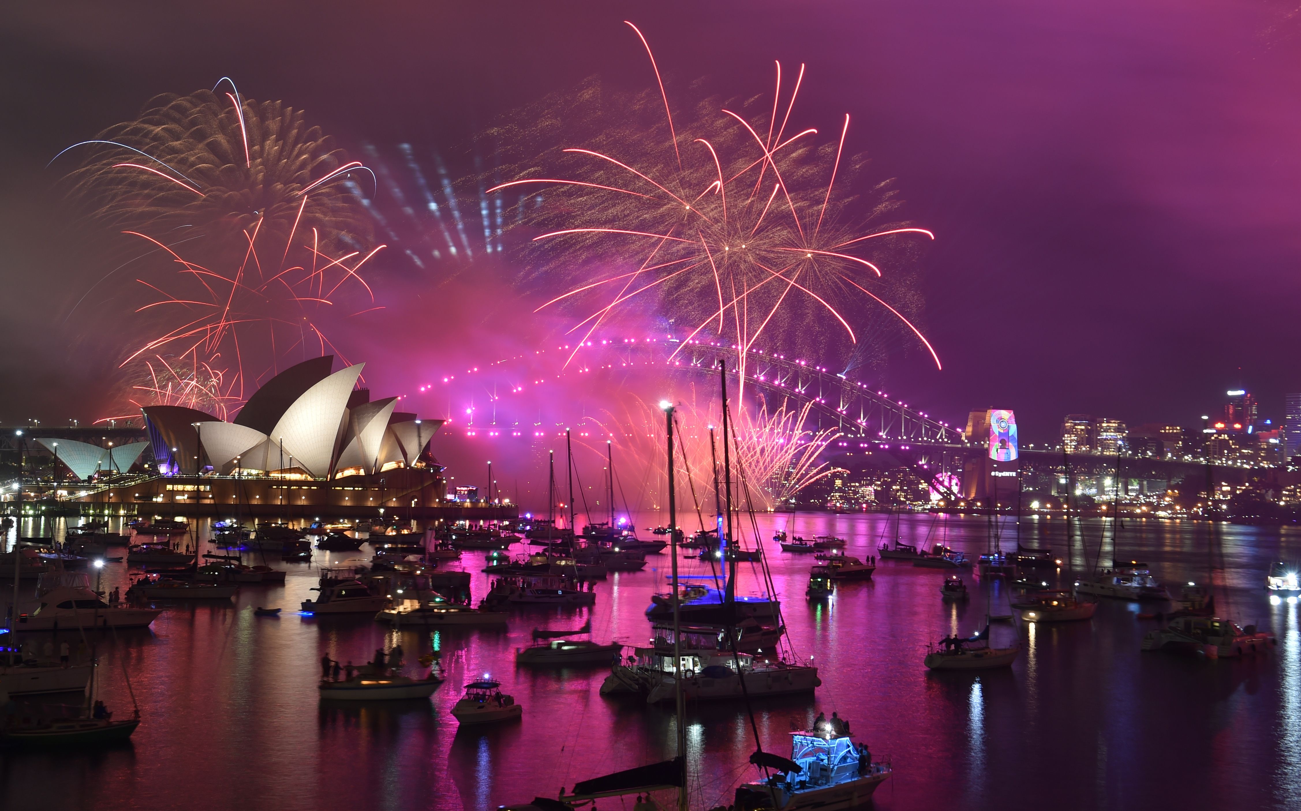 悉尼新年烟火表演图片