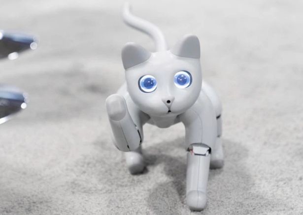 你想要吗?萌宠机器猫marscat来啦,会感应甚至可以玩玩具