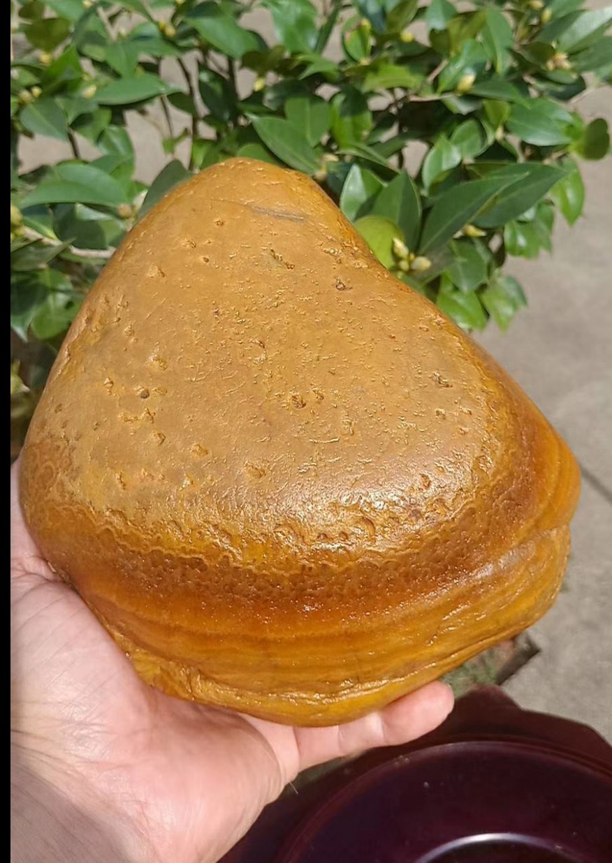 黄蜡石和水冲金纹石,河里捡的
