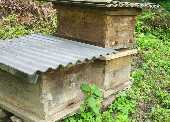 圆蜂- 2020年最新商品信息聚合专区 - 百度爱采购