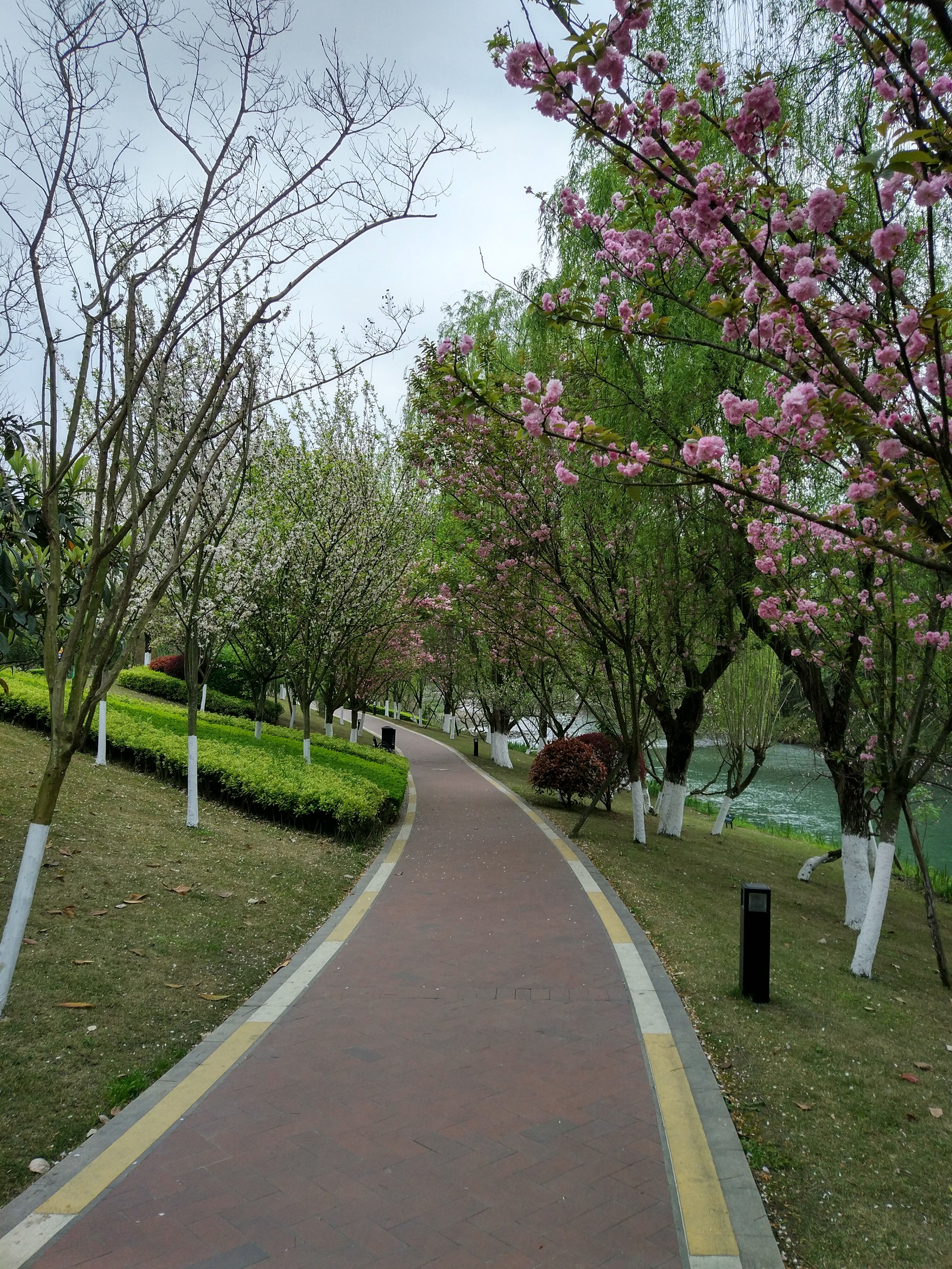 骑游巴蜀之温江江安河绿道