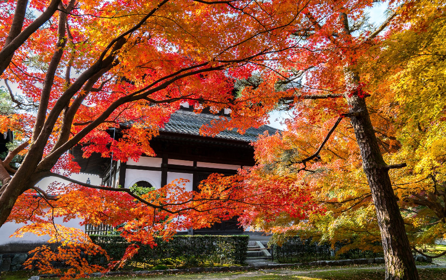 岚山:不仅有丰富的人文景点,还有随四季变换的自然风光