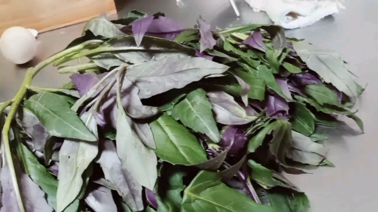 血皮菜的另类吃法 你知道吗?不仅是蔬菜还是中药 养生佳品