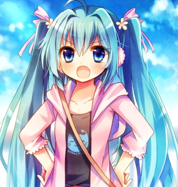 可爱小初音未来:来自二次元的公主殿下,最初的声音,却有无限的未来!