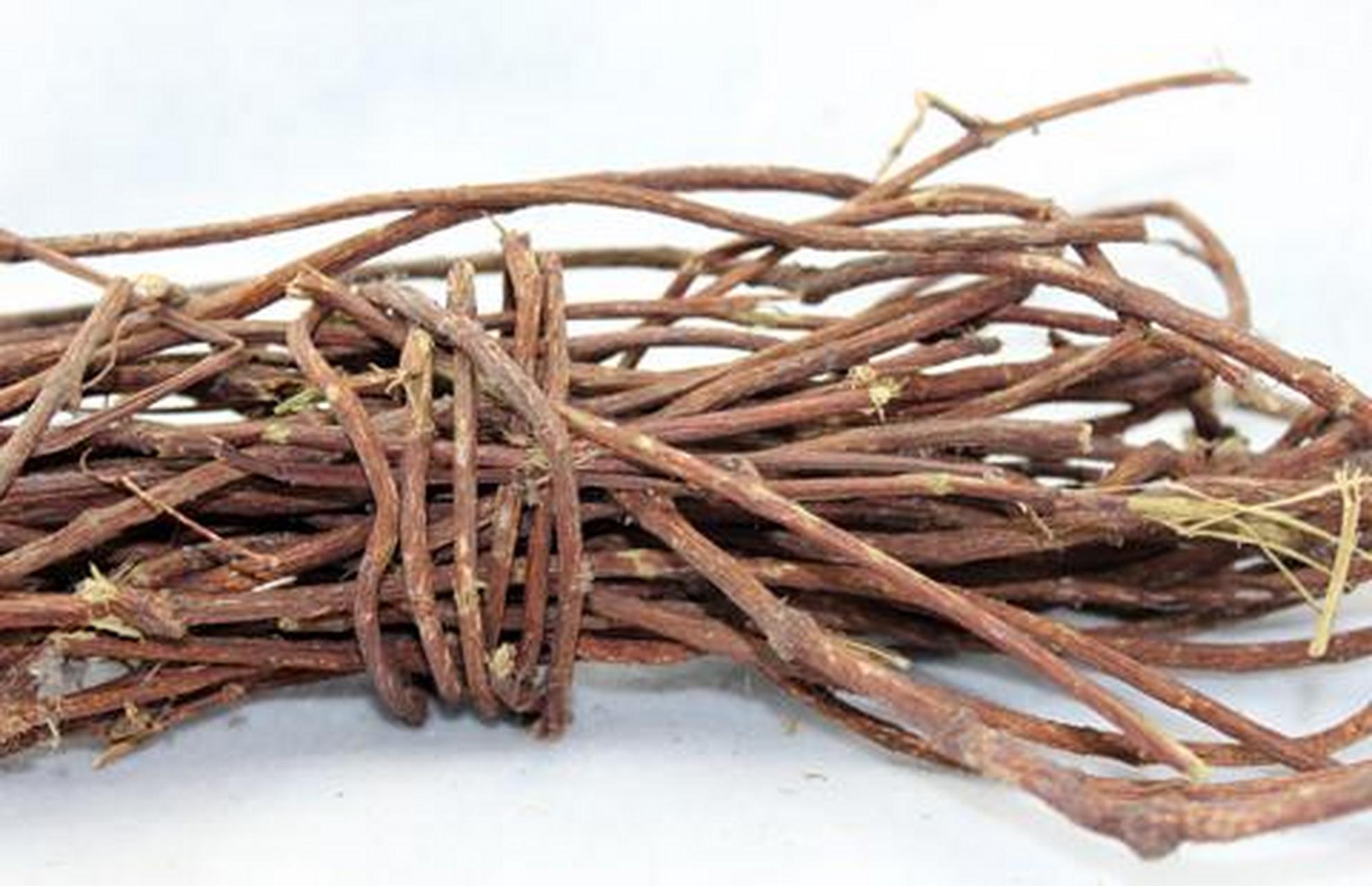 科普知识竞赛#夜交藤,中药名.为蓼科植物何首乌的藤茎或带叶的藤茎.