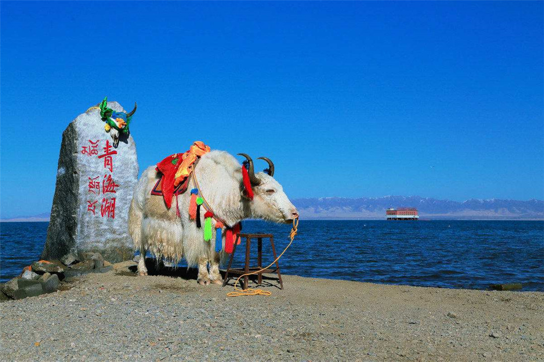青海湖有哪些特色景点图片