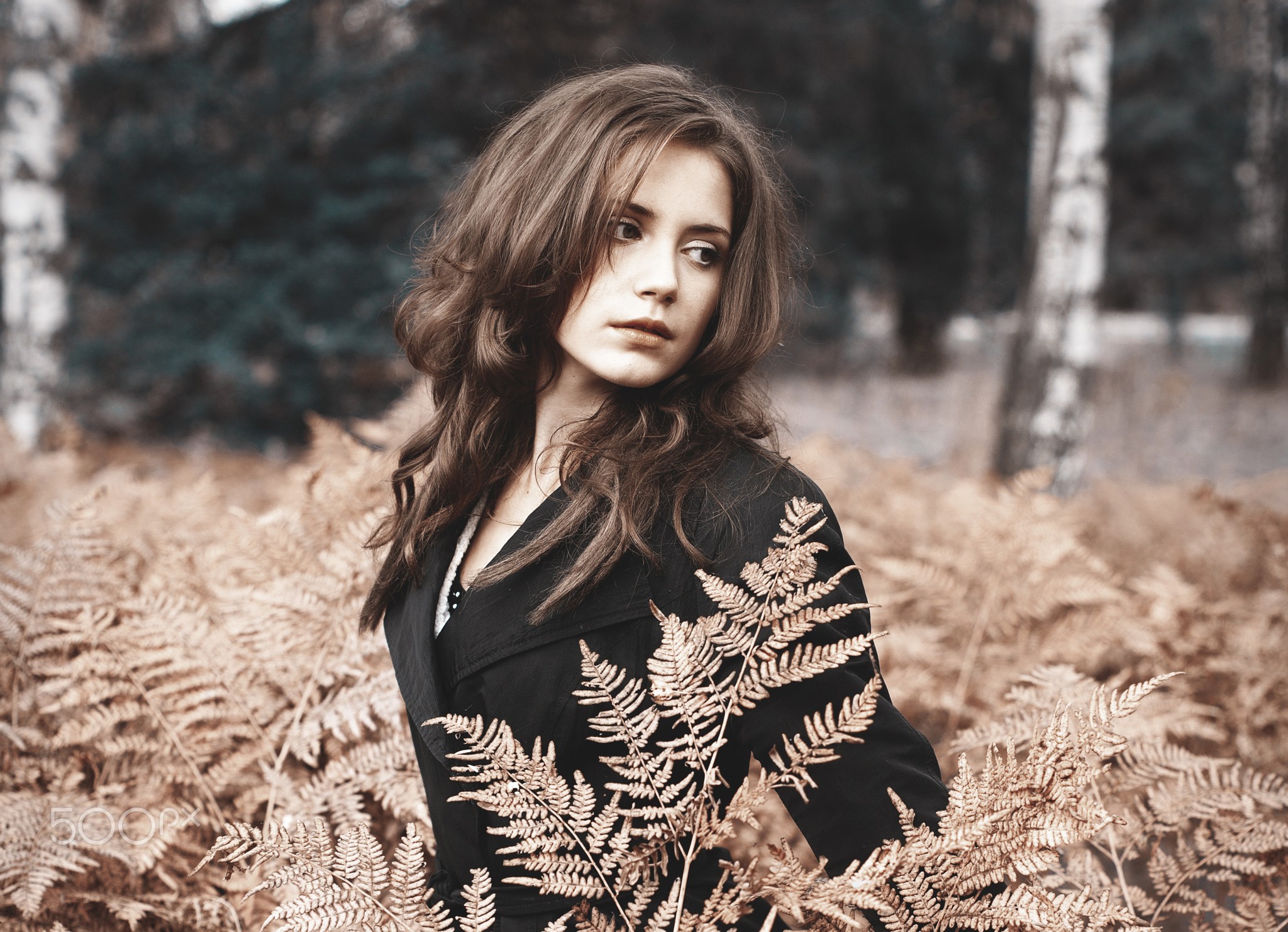 张雨绮跟前夫复婚,刺痛了现代女性的哪根神经?