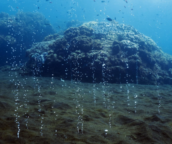 為什麼深海熱泉會聚集大量生物?